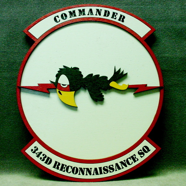 Air Force 343D Reconnaissance Squadron